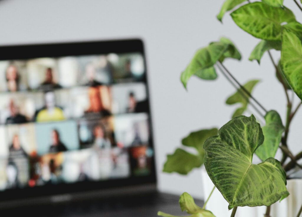 a blurred image of a laptop with a video call with multiple members attending and an in focus plant in front.